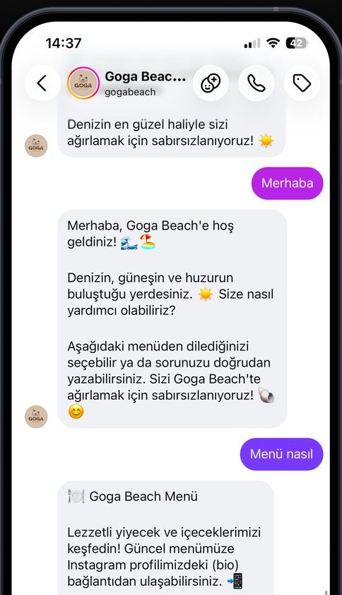 GogaBeach Instagram DM otomasyonunun soruları yanıtladığı gerçek sohbet ekranı.